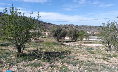 Resale - Villa -
Abanilla