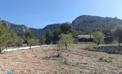 Resale - Villa -
Abanilla