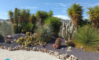 Resale - Villa -
Abanilla