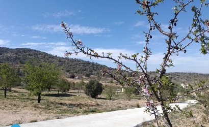 Resale - Villa -
Abanilla