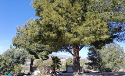 Resale - Villa -
Abanilla