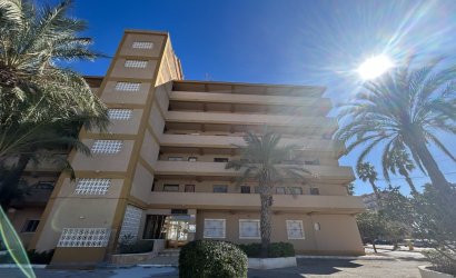 Reventa - Apartment -
Guardamar del Segura - Costa Blanca