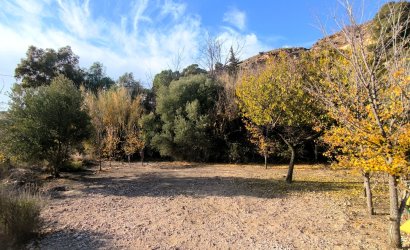 Reventa - Country House -
Fortuna - Inland