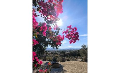 Reventa - Country House -
Fortuna - Inland