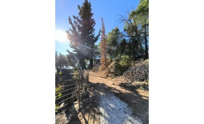 Reventa - Country House -
Fortuna - Inland