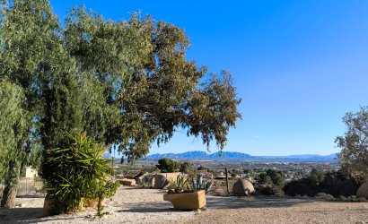 Reventa - Country House -
Fortuna - Inland