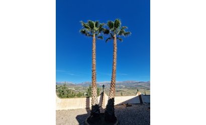 Herverkoop - Villa -
Vinuela - Inland