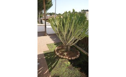 Herverkoop - Villa -
Cabo Roig - Costa Blanca