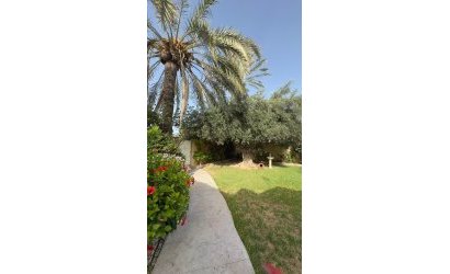 Resale - Villa -
Orihuela Costa - Punta Prima