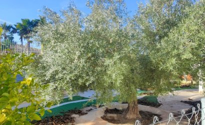 Reventa - Villa -
Aspe