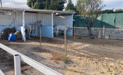 Herverkoop - Country House -
Crevillente