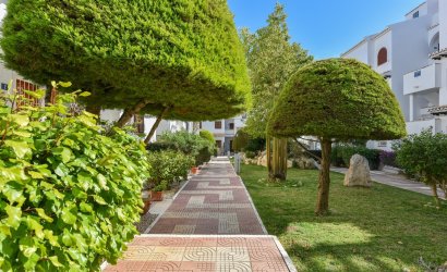 Reventa - Apartment -
Ciudad Quesada