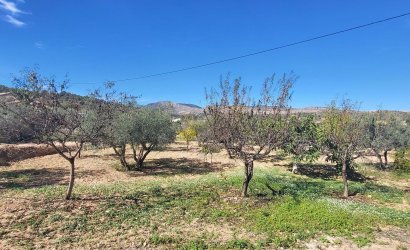 Revente - Villa -
La Romana