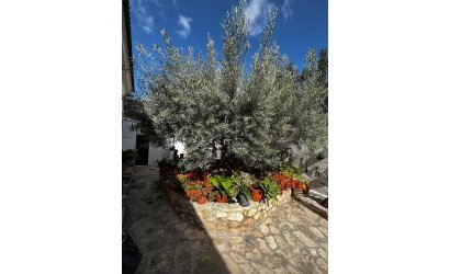 Reventa - Town House -
Benejúzar - Comunidad Valenciana