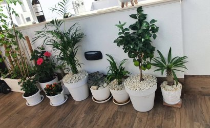 Revente - Villa -
San Pedro del Pinatar - Centro