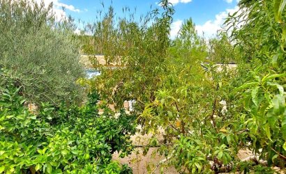 Herverkoop - Villa -
Calasparra - Inland