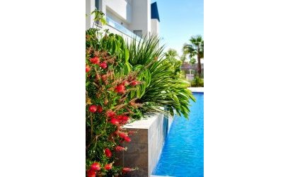 Resale - Townhouse -
Torrevieja - El Acequión - Los Náufragos