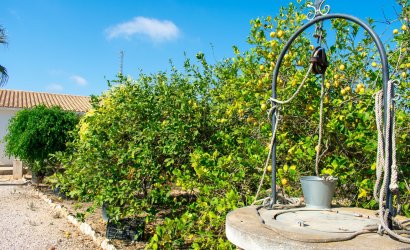 Resale - Villa -
Guardamar del Segura - El Raso