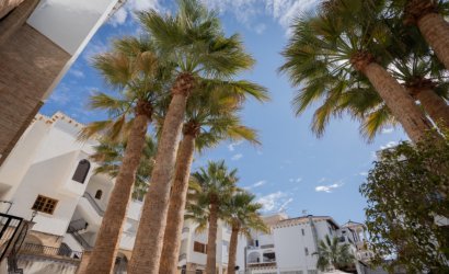 Herverkoop - Apartment -
Orihuela - Costa Blanca