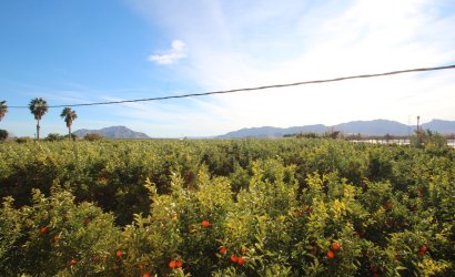 Revente - Country House -
Murcia - Costa Blanca