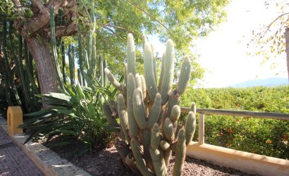 Revente - Country House -
Murcia - Costa Blanca