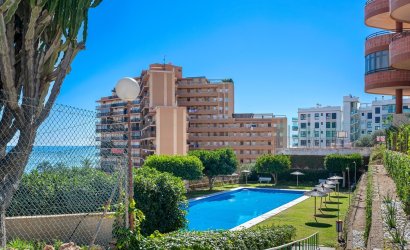 Reventa - Apartment -
Arenales del Sol - Segunda linea playa