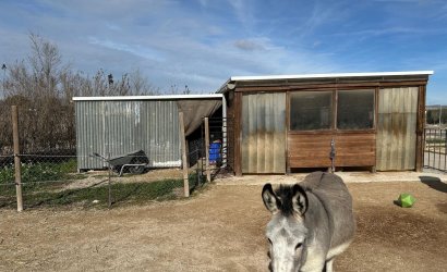 Revente - Villa -
Villena