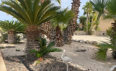 Resale - Country House -
Abanilla