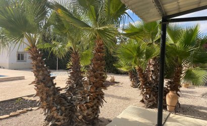 Resale - Country House -
Abanilla