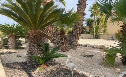 Resale - Country House -
Abanilla