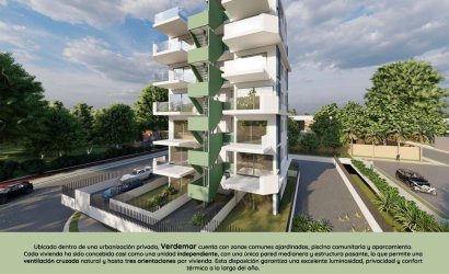 Reventa - Land -
Guardamar del Segura