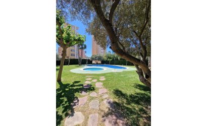 Herverkoop - Apartment -
Guardamar del Segura - Costa Blanca