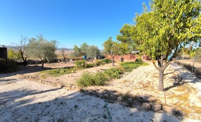 Herverkoop - Villa -
Yecla - Inland