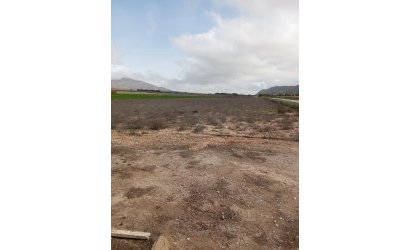 Herverkoop - Country House -
Yecla - Inland