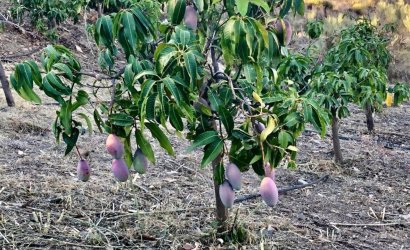 Herverkoop - Villa -
Vélez-Málaga - Costa del Sol