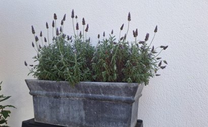 Herverkoop - Villa -
Torrevieja - Los Balcones - Los Altos del Edén