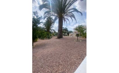 Herverkoop - Villa -
Algorfa - Inland