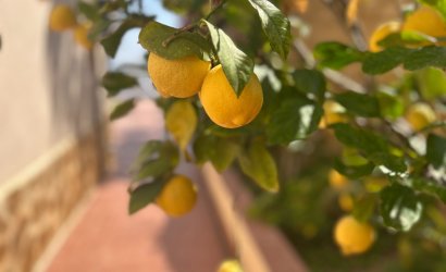 Herverkoop - Villa -
Algorfa - Inland