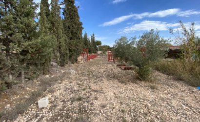 Reventa - Country House -
Sax