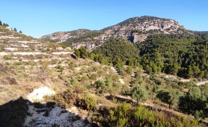 Reventa - Country House -
Benasau