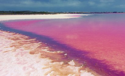 Reventa - Apartment -
Villamartin - Costa Blanca