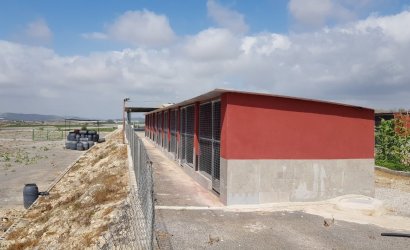 Herverkoop - Finca -
Los Montesinos