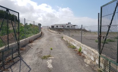 Herverkoop - Finca -
Los Montesinos