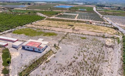 Herverkoop - Finca -
Los Montesinos