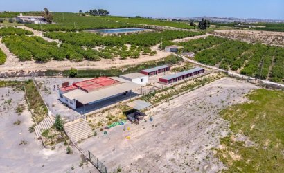 Herverkoop - Finca -
Los Montesinos