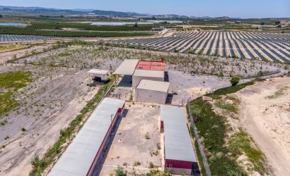 Herverkoop - Finca -
Los Montesinos