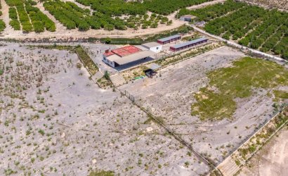 Herverkoop - Finca -
Los Montesinos