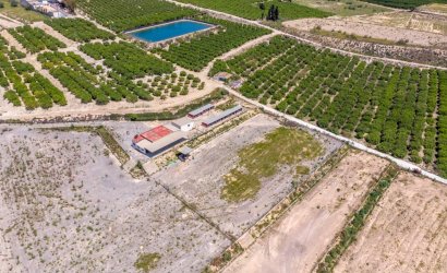 Herverkoop - Finca -
Los Montesinos