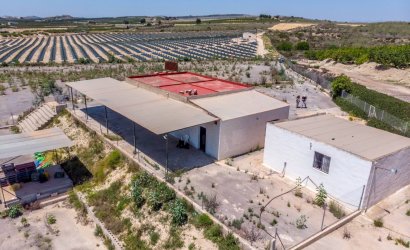 Herverkoop - Finca -
Los Montesinos