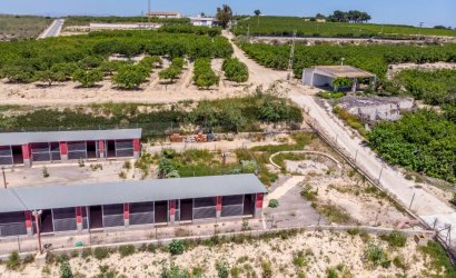 Herverkoop - Finca -
Los Montesinos